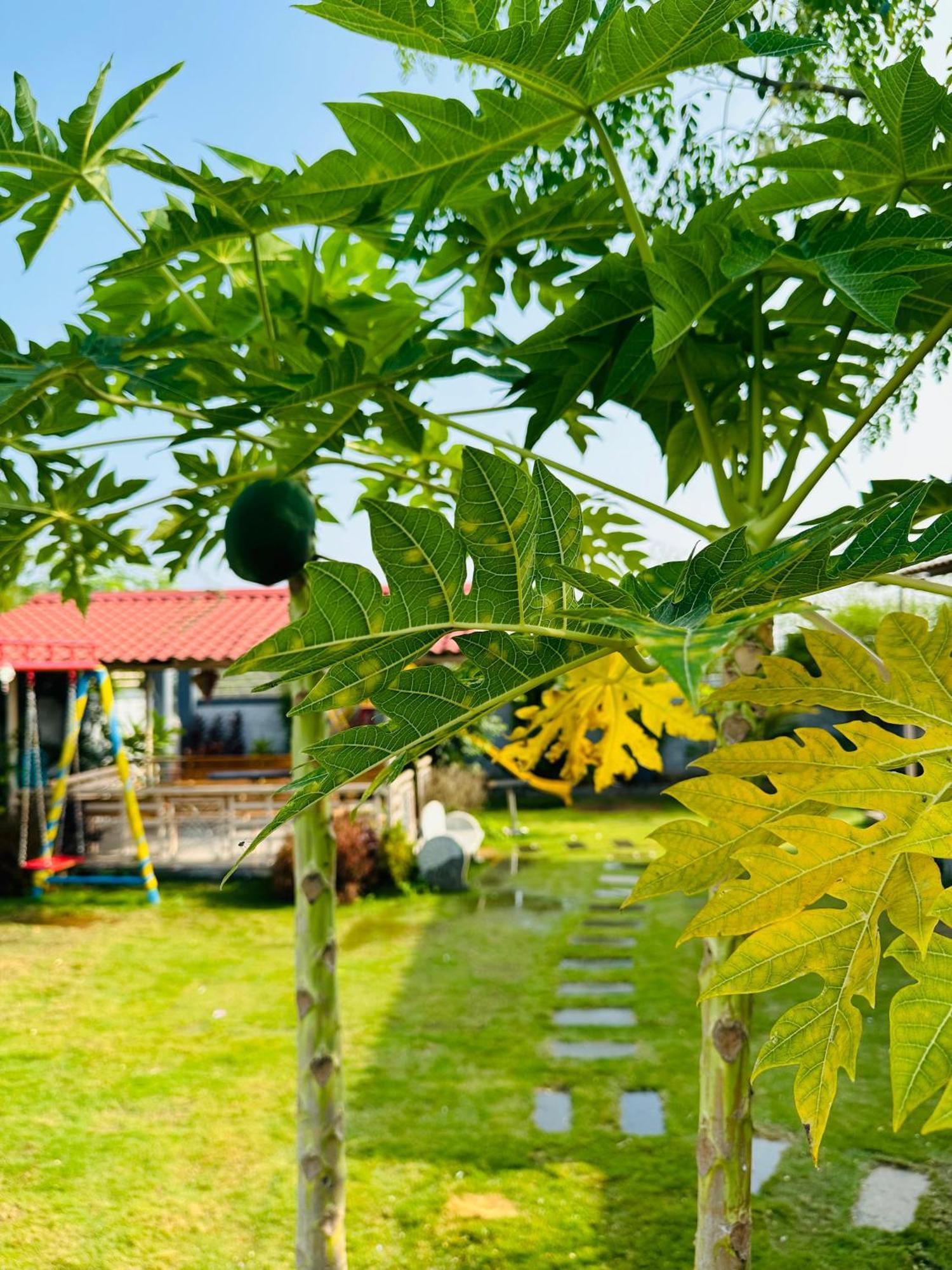 Pk Sahara Farm Stay 迈索尔 外观 照片